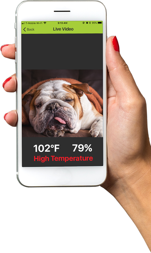 Benefits of Dog RV Temperature Monitor